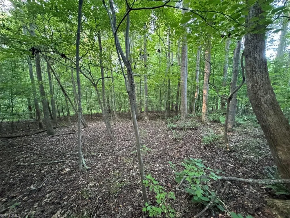0 Candy Creek Road Reidsville, NC 27320