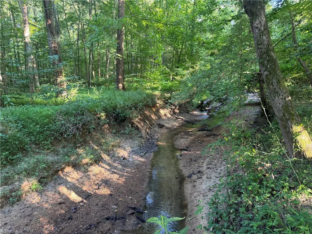 0 Candy Creek Road Reidsville, NC 27320