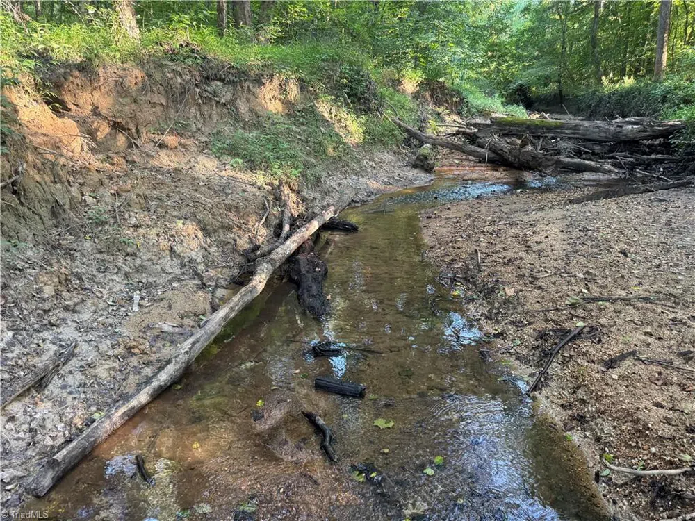 0 Candy Creek Road Reidsville, NC 27320