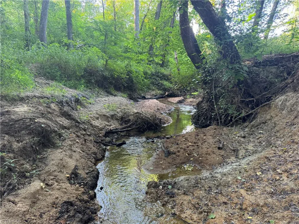 0 Candy Creek Road Reidsville, NC 27320