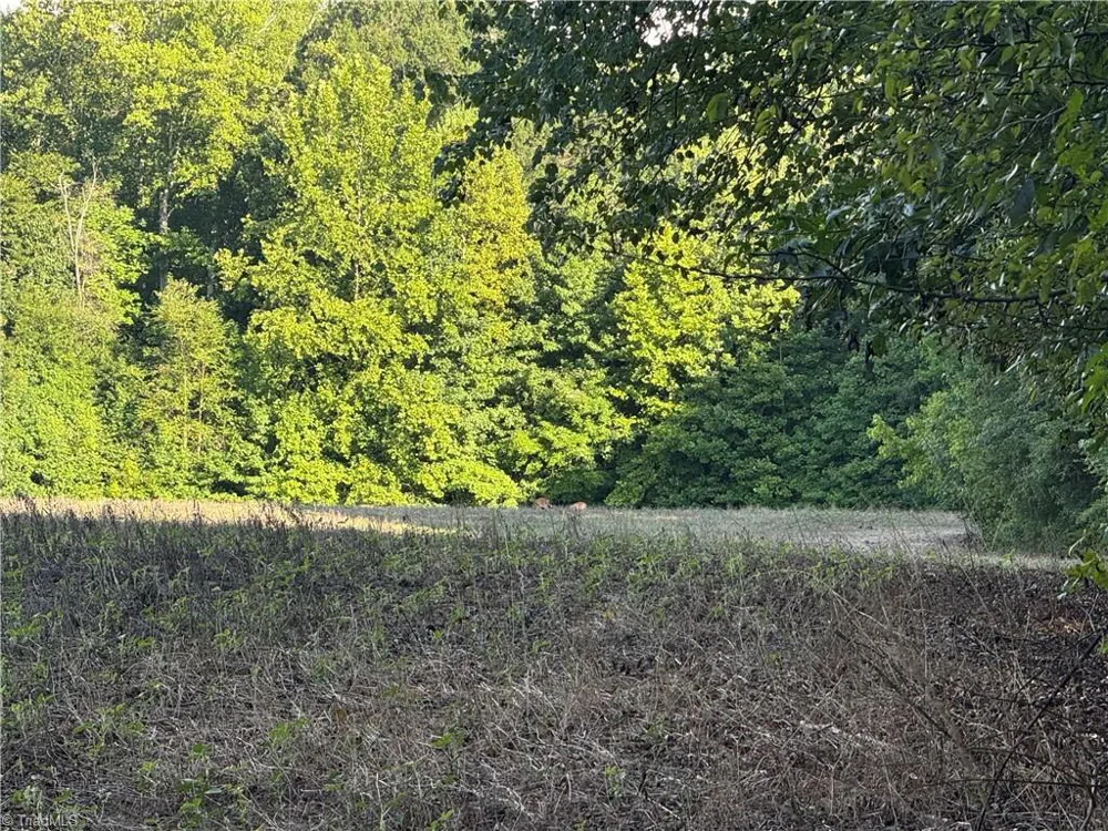 0 Candy Creek Road Reidsville, NC 27320