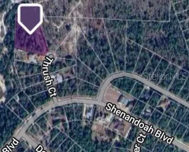 Lot 8 THRUSH COURT #1 Chipley, FL 32428