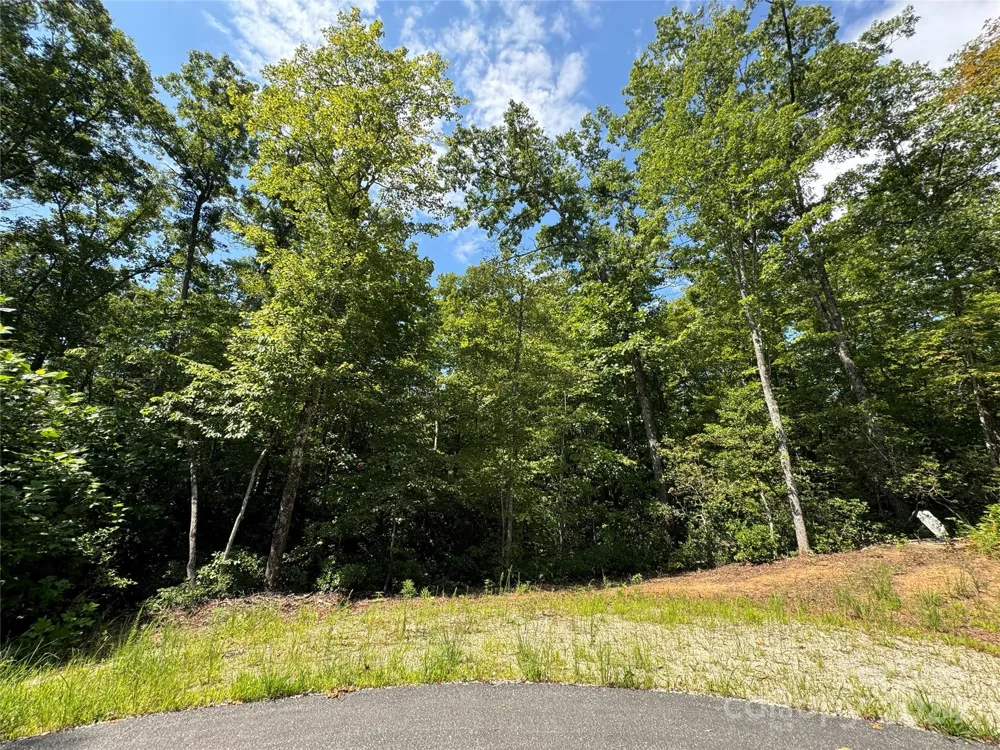 63 Cherry Cove Lane #3 Old Fort, NC 28762