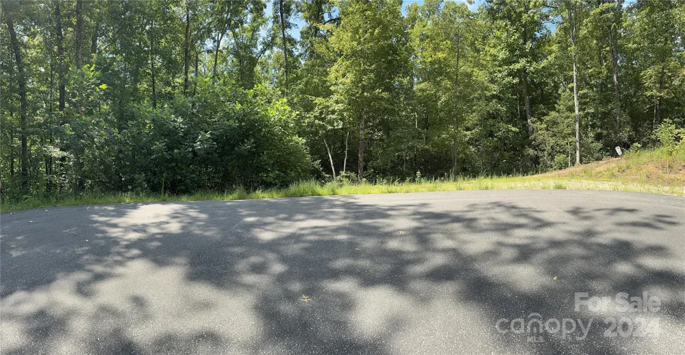 63 Cherry Cove Lane #3 Old Fort, NC 28762