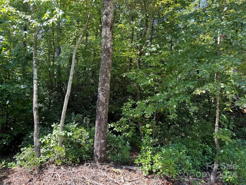 63 Cherry Cove Lane #3 Old Fort, NC 28762