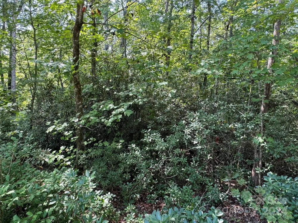 63 Cherry Cove Lane #3 Old Fort, NC 28762