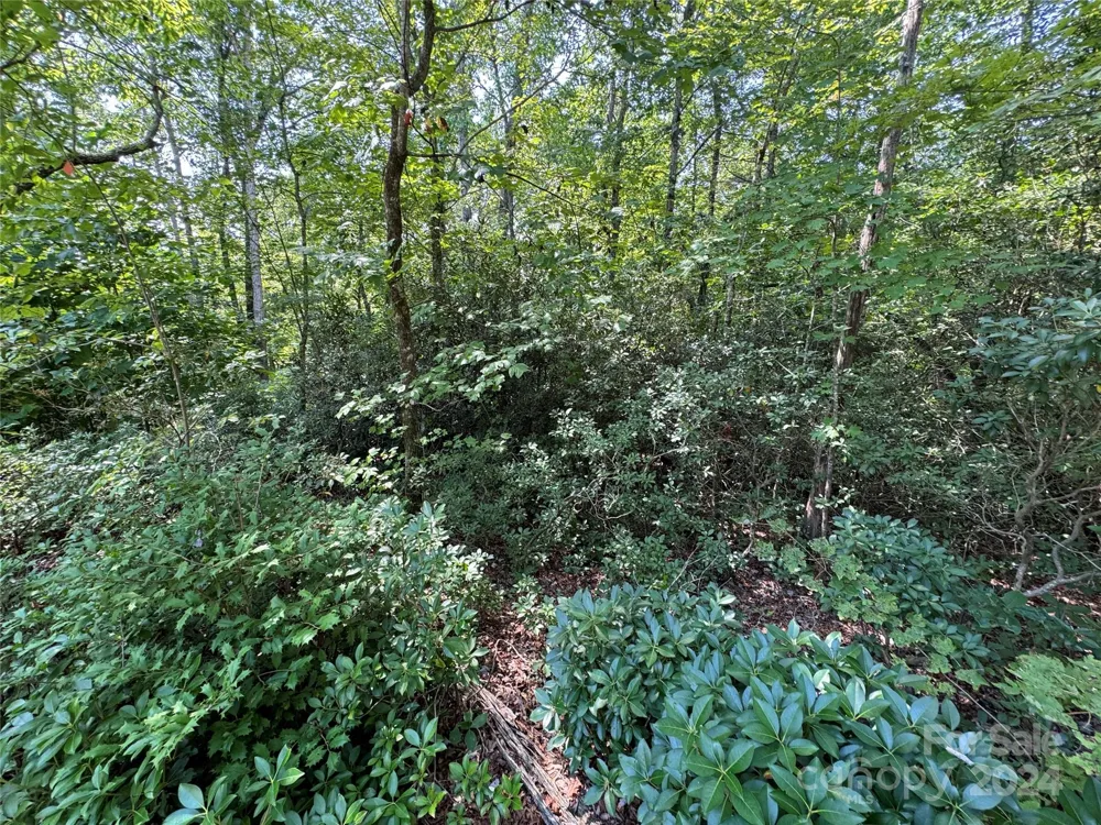63 Cherry Cove Lane #3 Old Fort, NC 28762