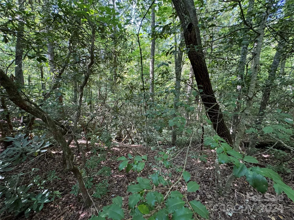 63 Cherry Cove Lane #3 Old Fort, NC 28762