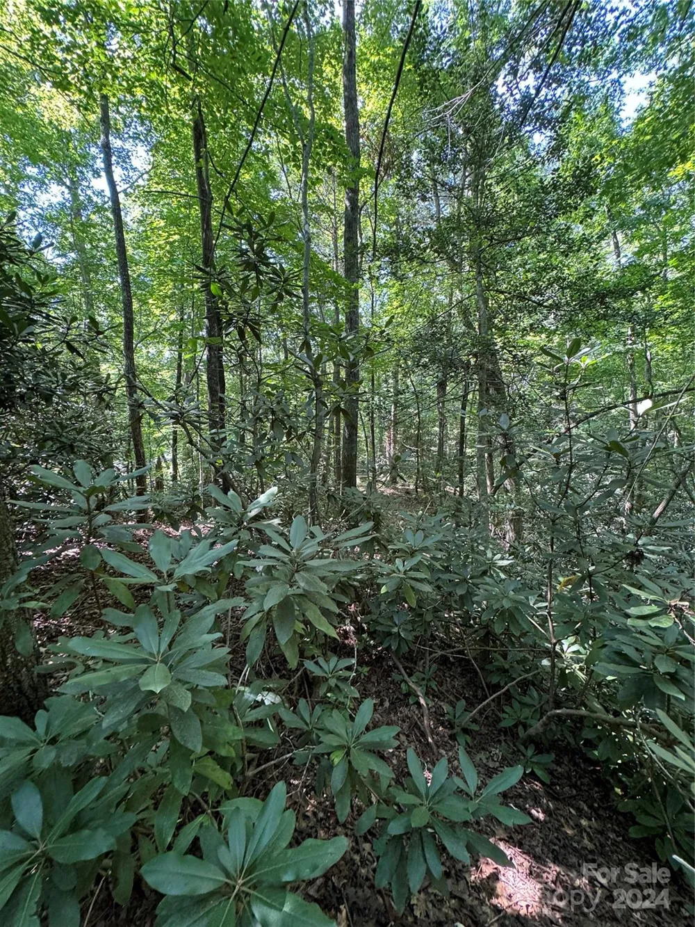63 Cherry Cove Lane #3 Old Fort, NC 28762