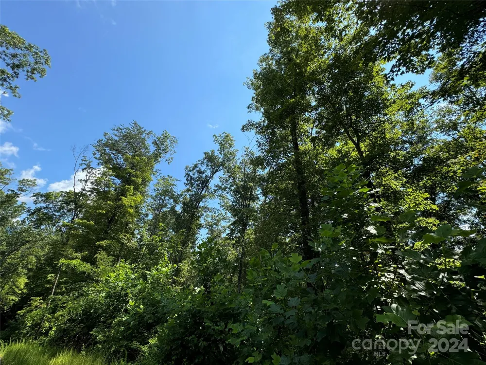 63 Cherry Cove Lane #3 Old Fort, NC 28762