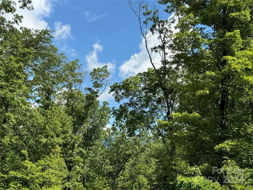 63 Cherry Cove Lane #3 Old Fort, NC 28762