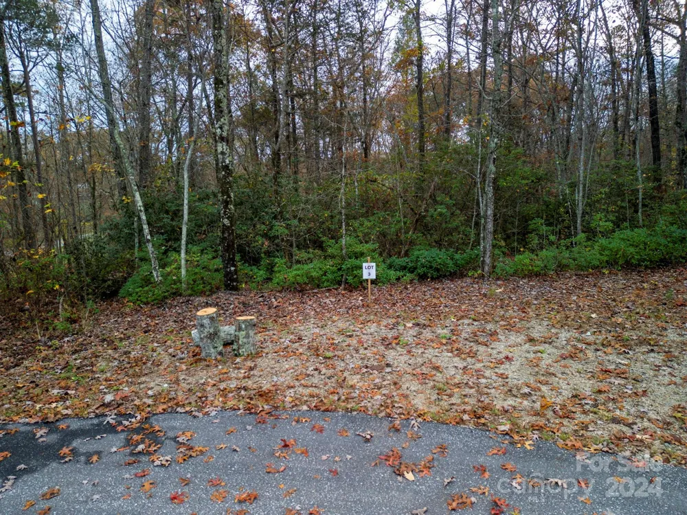 63 Cherry Cove Lane #3 Old Fort, NC 28762