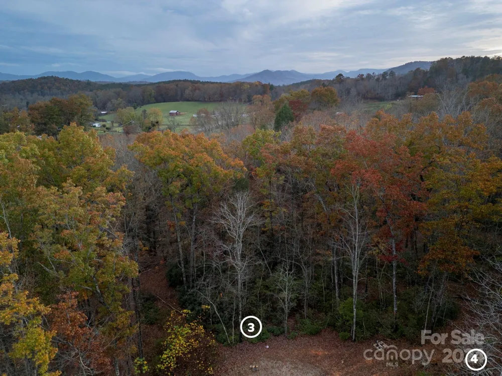 63 Cherry Cove Lane #3 Old Fort, NC 28762