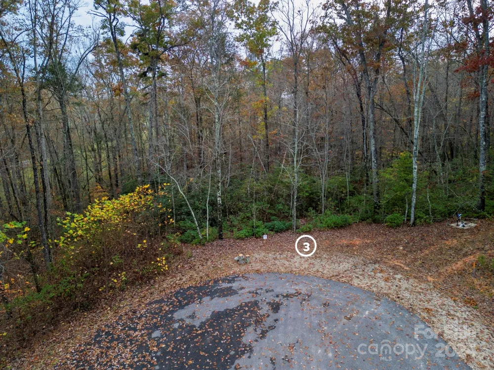 63 Cherry Cove Lane #3 Old Fort, NC 28762