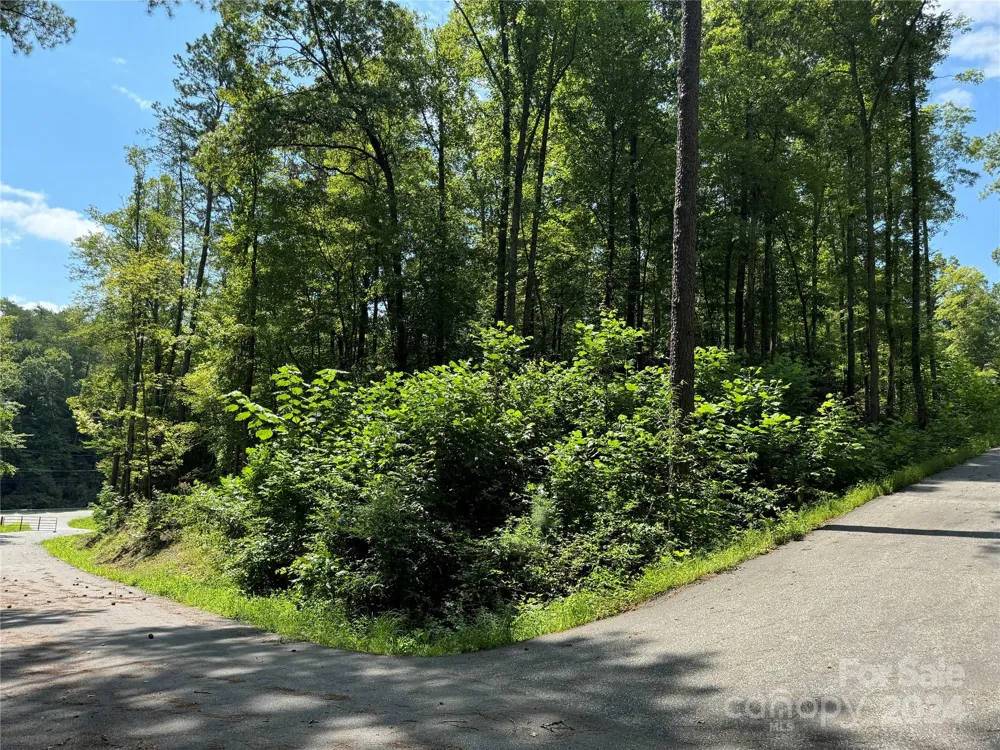 13 Cherry Cove Way #2 Old Fort, NC 28762