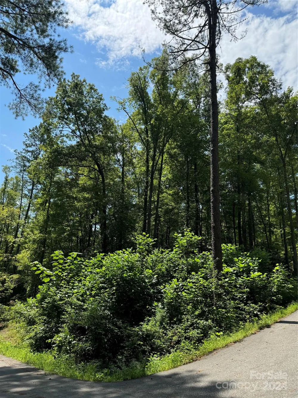 13 Cherry Cove Way #2 Old Fort, NC 28762