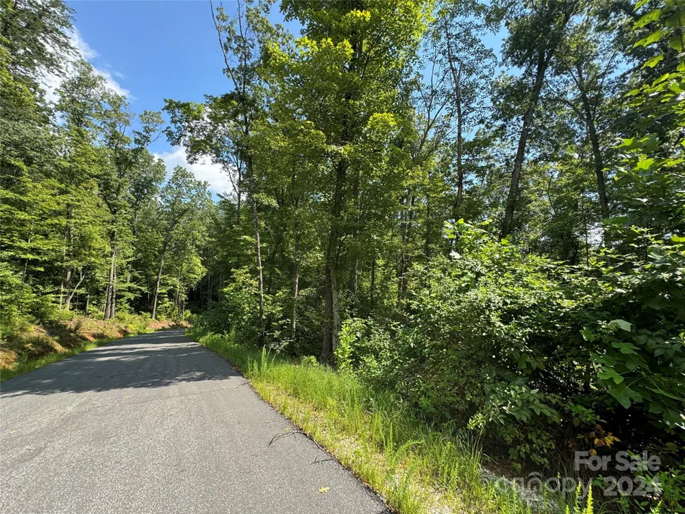 13 Cherry Cove Way #2 Old Fort, NC 28762