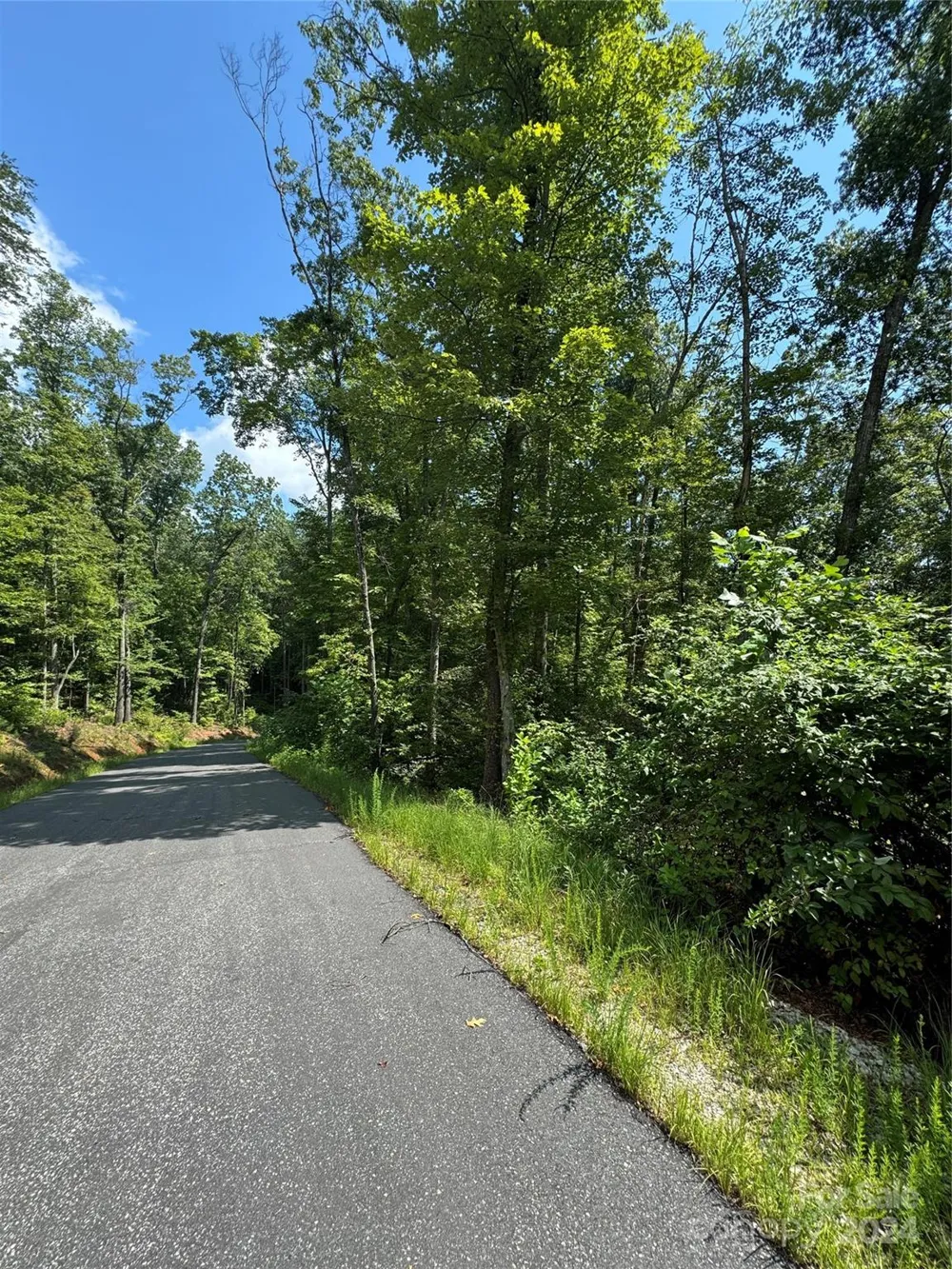 13 Cherry Cove Way #2 Old Fort, NC 28762