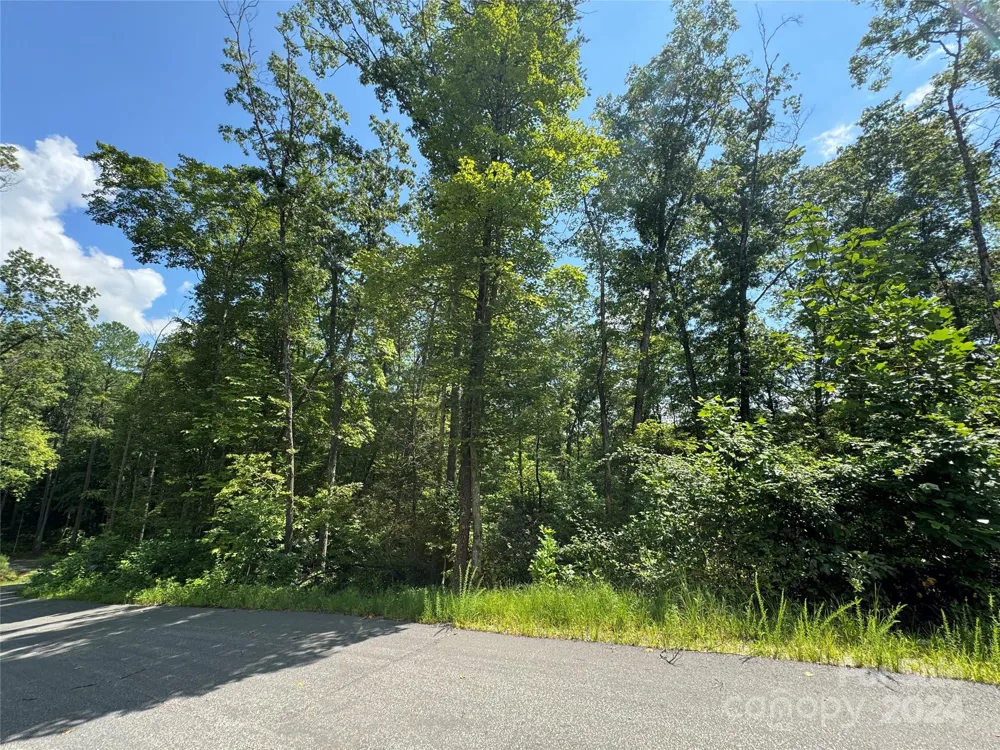 13 Cherry Cove Way #2 Old Fort, NC 28762
