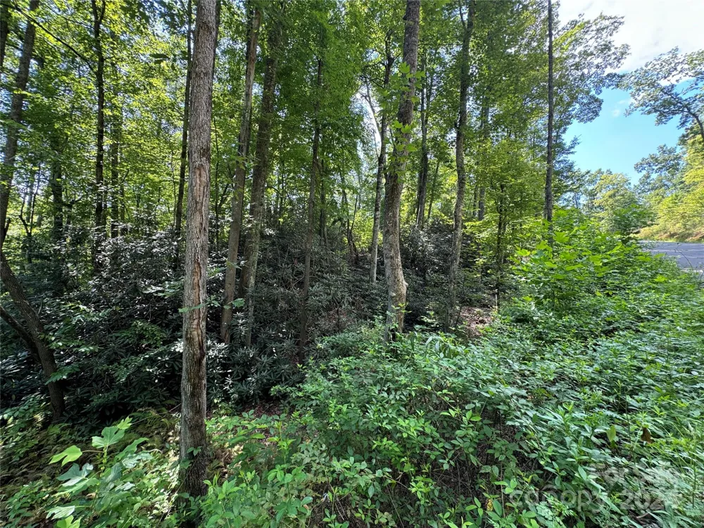 13 Cherry Cove Way #2 Old Fort, NC 28762