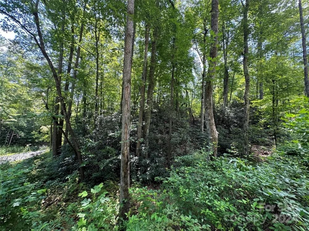 13 Cherry Cove Way #2 Old Fort, NC 28762