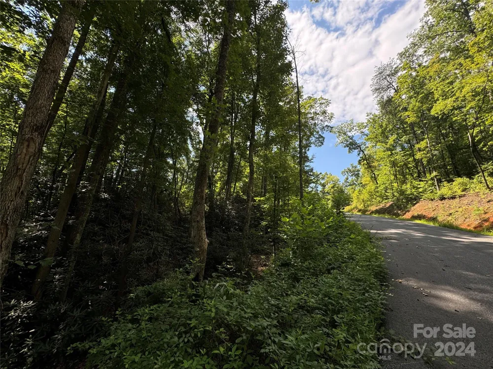 13 Cherry Cove Way #2 Old Fort, NC 28762