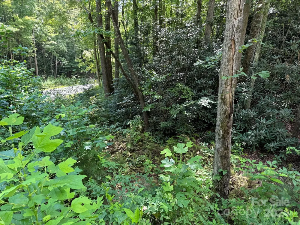 13 Cherry Cove Way #2 Old Fort, NC 28762