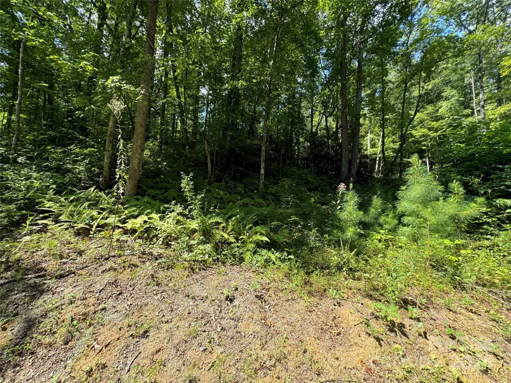 13 Cherry Cove Way #2 Old Fort, NC 28762