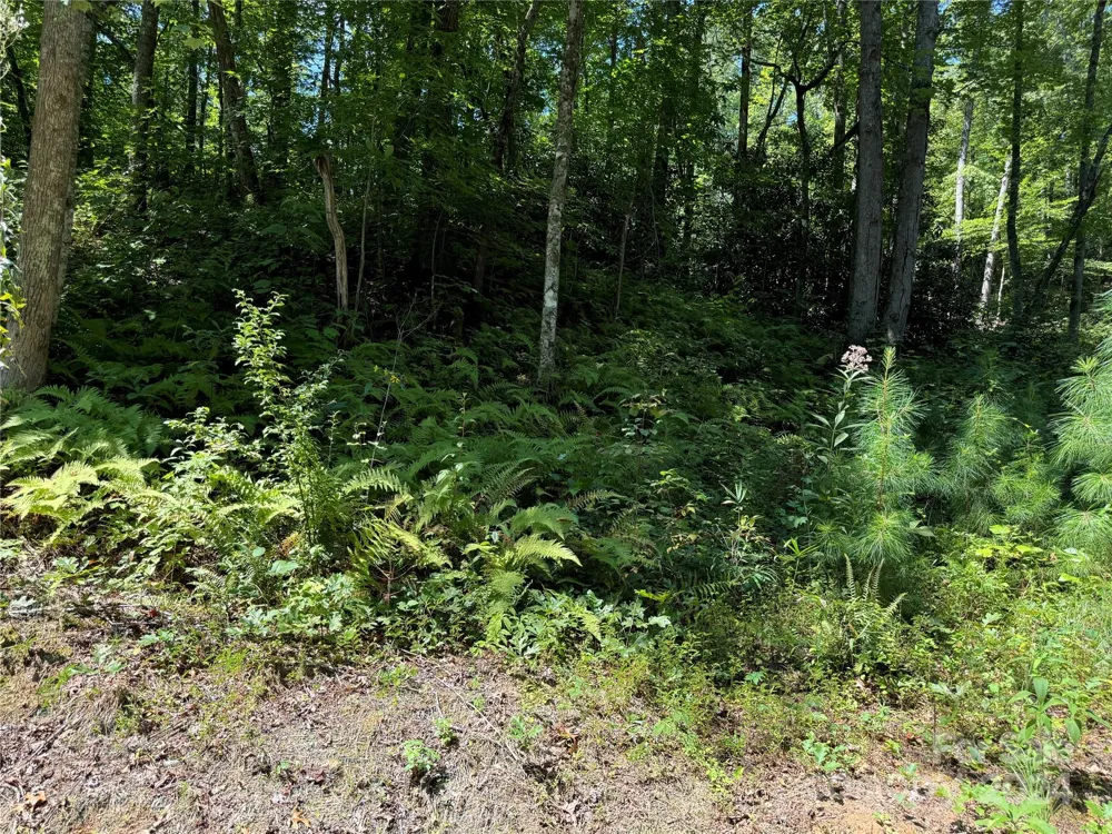 13 Cherry Cove Way #2 Old Fort, NC 28762