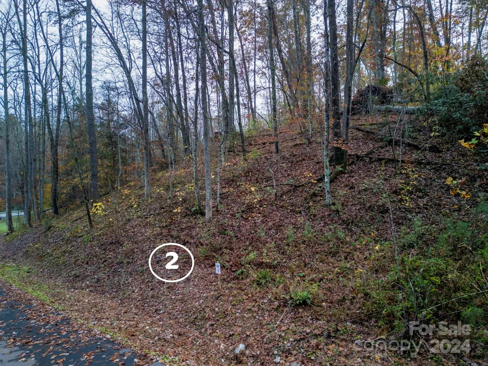 13 Cherry Cove Way #2 Old Fort, NC 28762