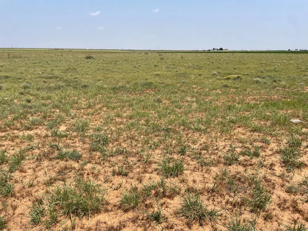 9619 County Road 7500 Ropesville, TX 79358