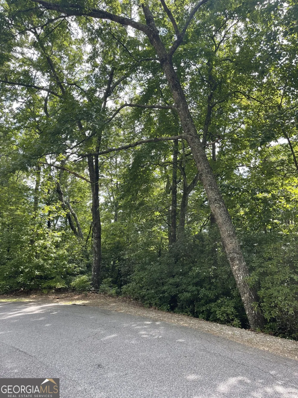 0 Kingwood DR Clayton, GA 30525