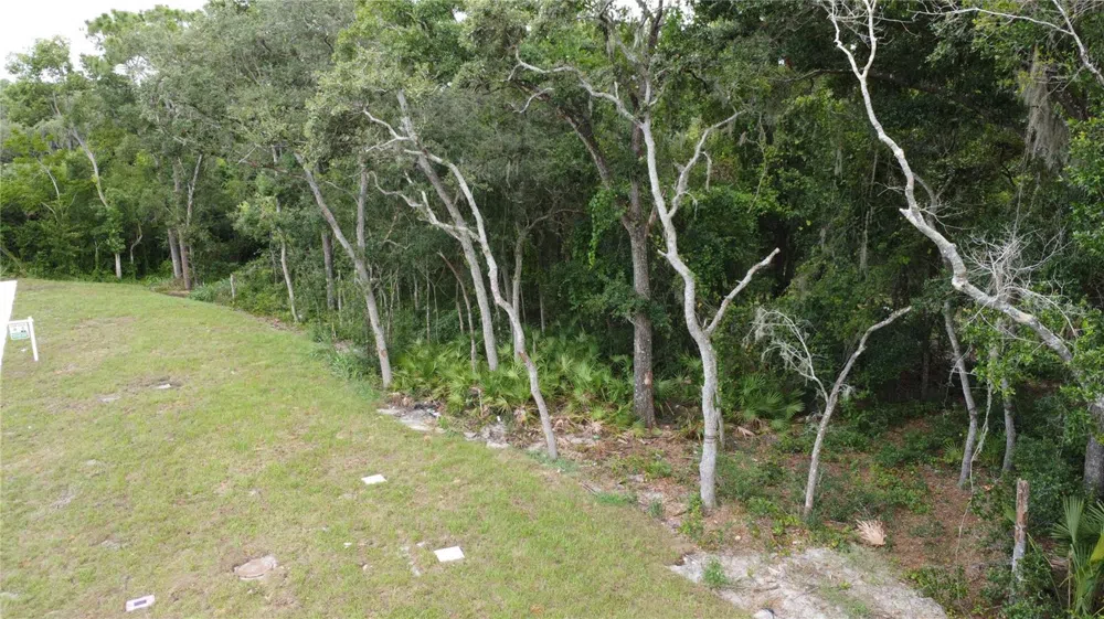 BAYWOOD STREET Altamonte Springs, FL 32701