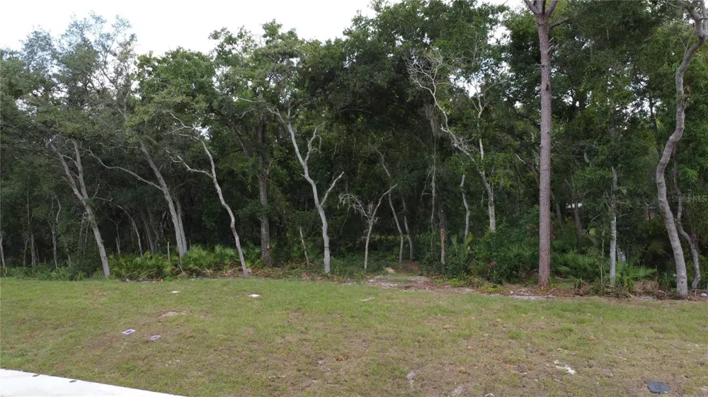 BAYWOOD STREET Altamonte Springs, FL 32701
