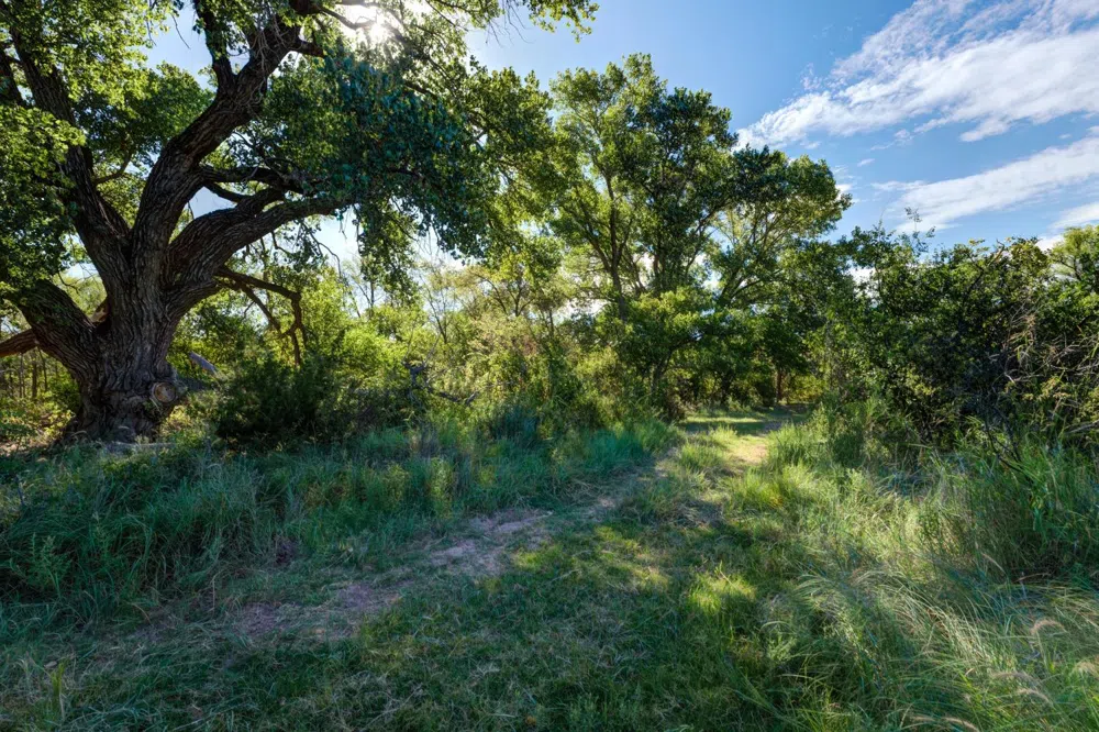 325 Sand Creek Southland, TX 79364