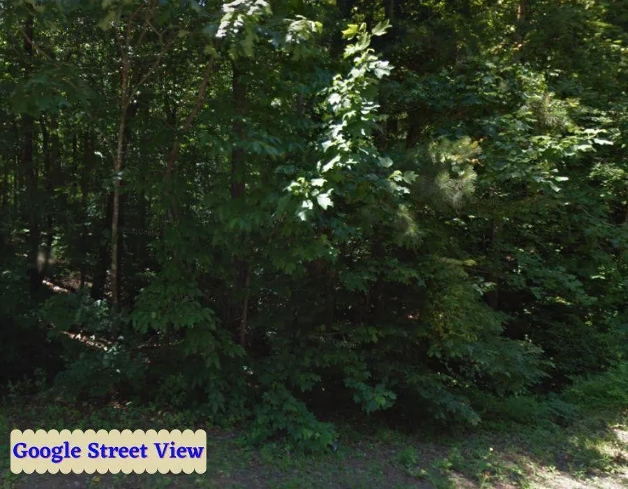 Tbd Country Canyon Drive Rockingham, NC 28379