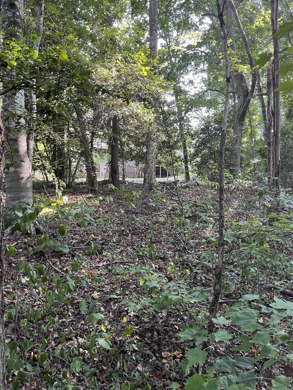 Tbd Country Canyon Drive Rockingham, NC 28379