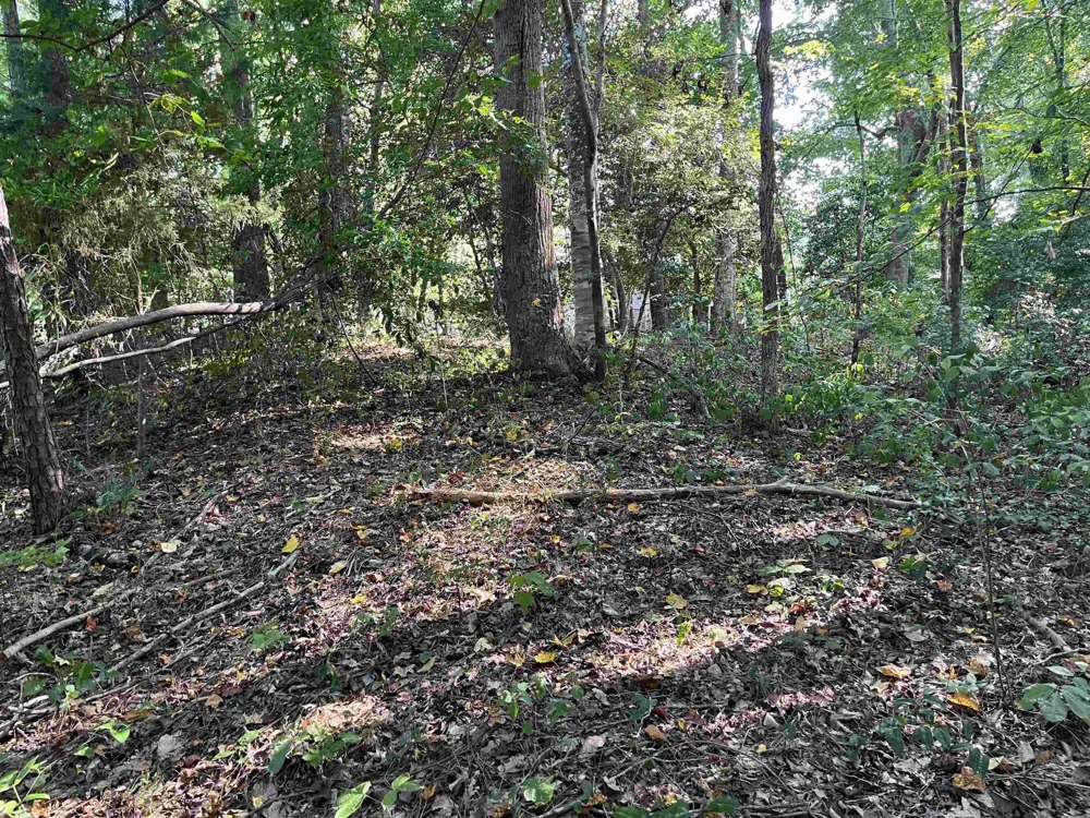 Tbd Country Canyon Drive Rockingham, NC 28379