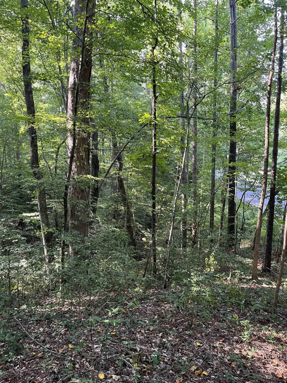 Tbd Country Canyon Drive Rockingham, NC 28379