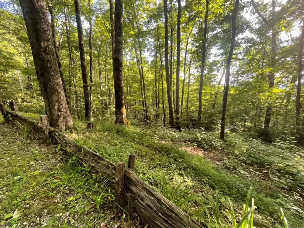 Von Trapp Tuckasegee, NC 28783