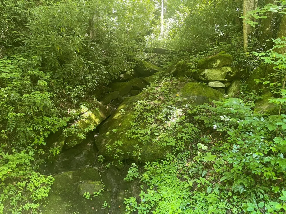 Von Trapp Tuckasegee, NC 28783