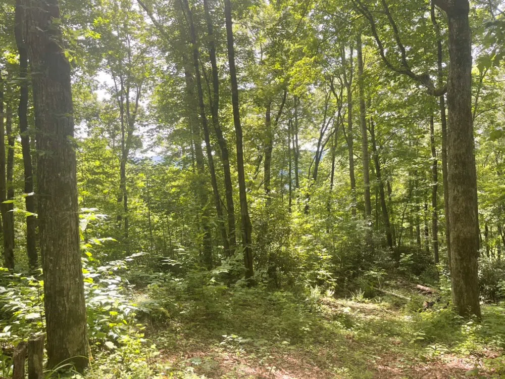 Von Trapp Tuckasegee, NC 28783