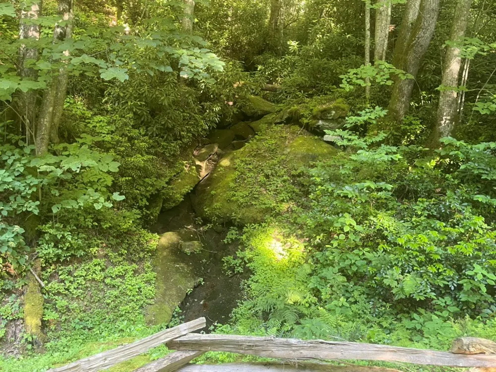 Von Trapp Tuckasegee, NC 28783