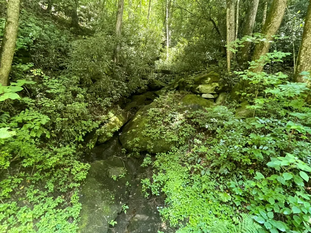 Von Trapp Tuckasegee, NC 28783