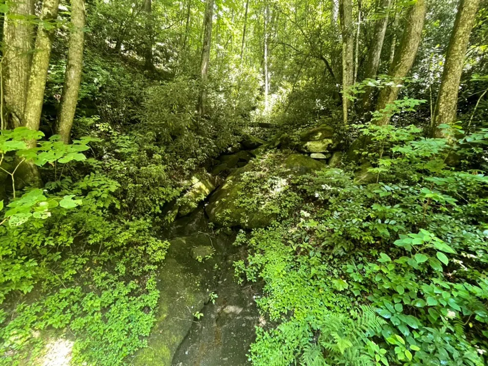 Von Trapp Tuckasegee, NC 28783