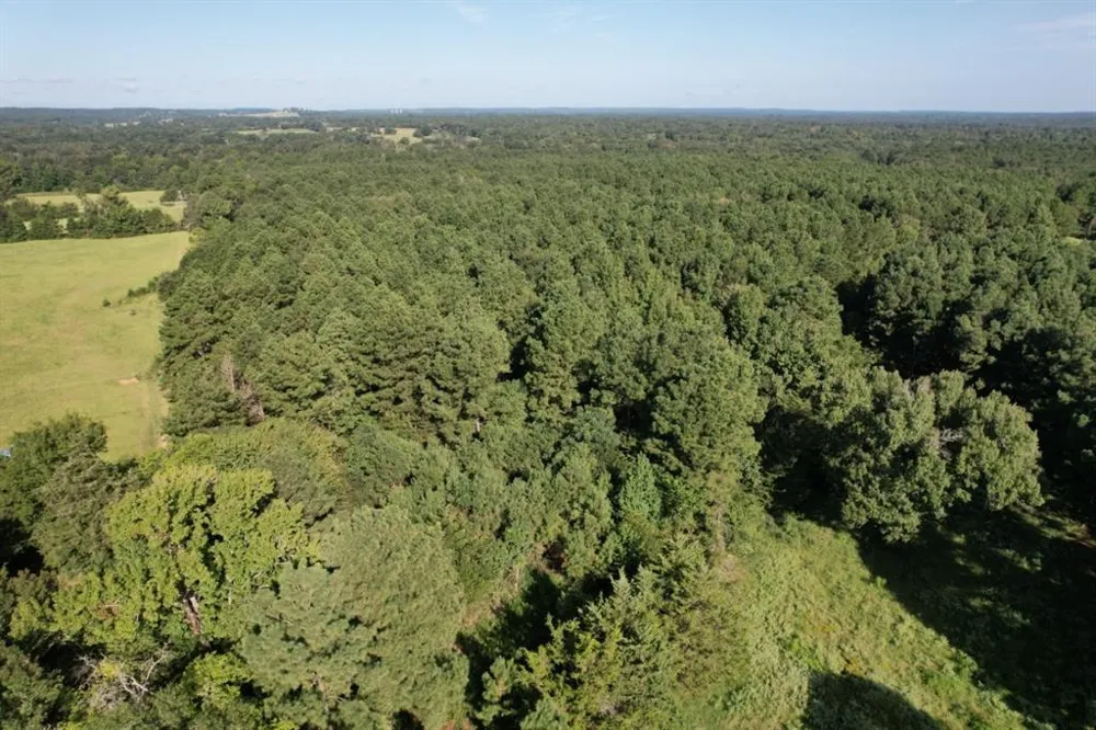 County Road 168-1 Long Branch, TX 75669