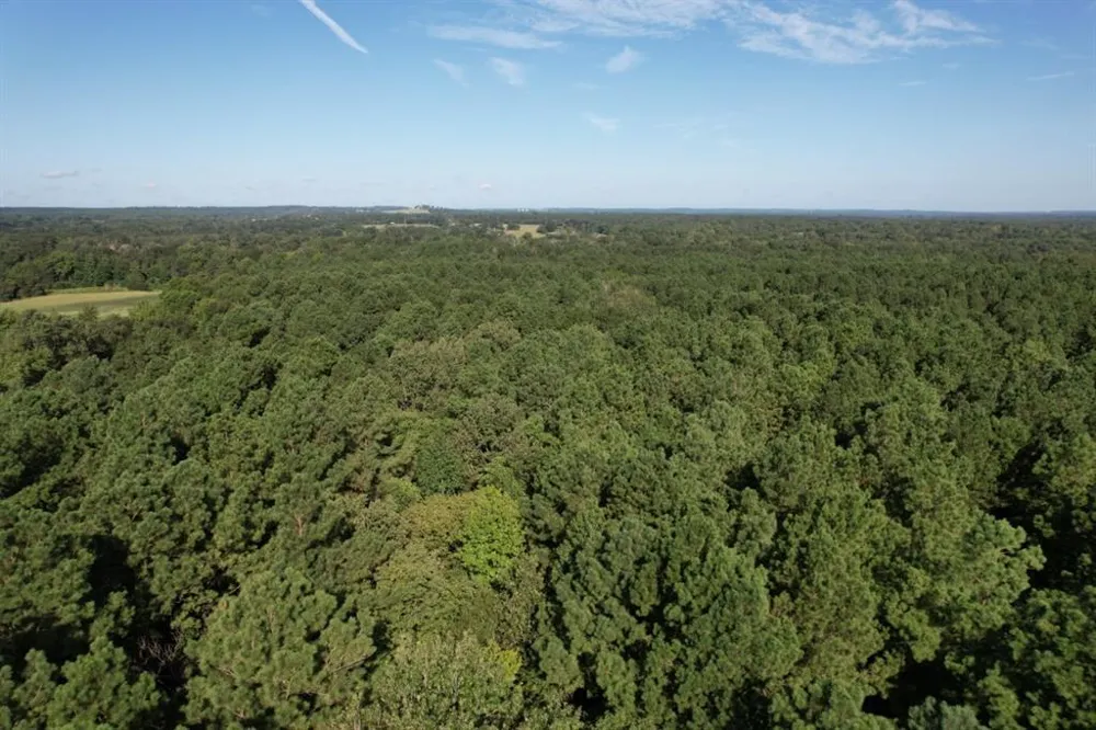 County Road 168-1 Long Branch, TX 75669