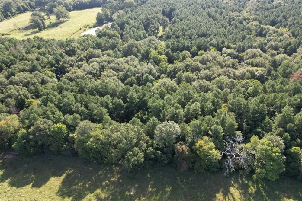 County Road 168-1 Long Branch, TX 75669
