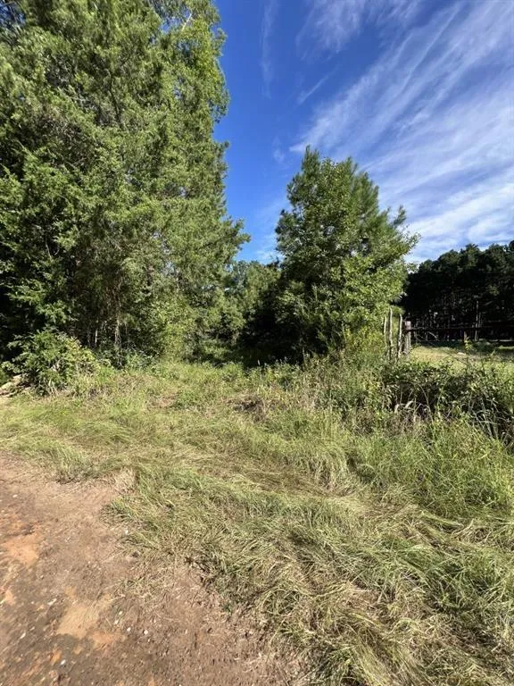 County Road 168-1 Long Branch, TX 75669