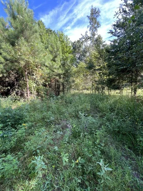 County Road 168-1 Long Branch, TX 75669